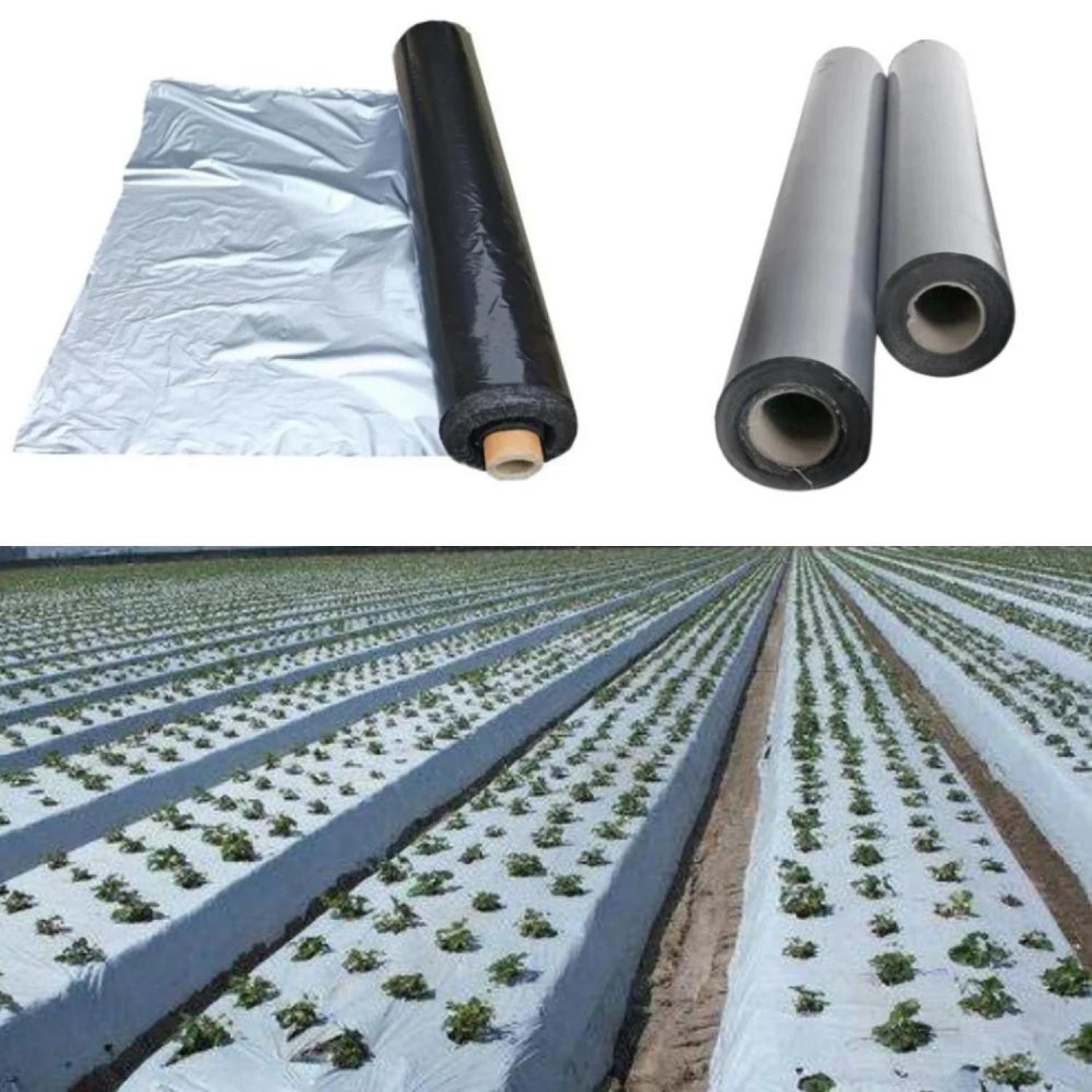 Mulching Sheet