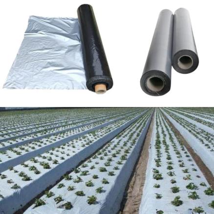Mulching Sheet